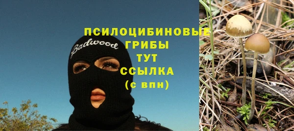 амф Арсеньев